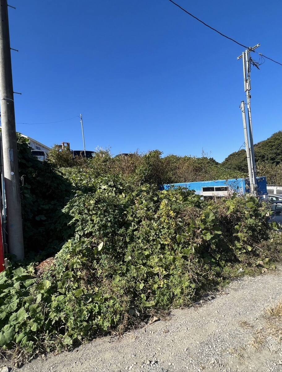 綾瀬市 畑 99㎡
